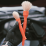 Boar Detailing Brush