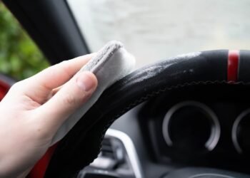 Comment entretenir de l’Alcantara ?